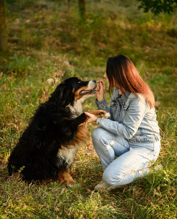 Woman and dog bonding in grassy field.